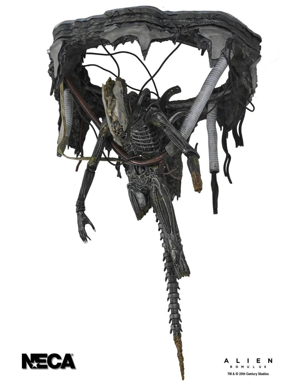 NECA Alien: Romulus – Deluxe Suspended Lab Xenomorph XX121 Deluxe 7″ Figure